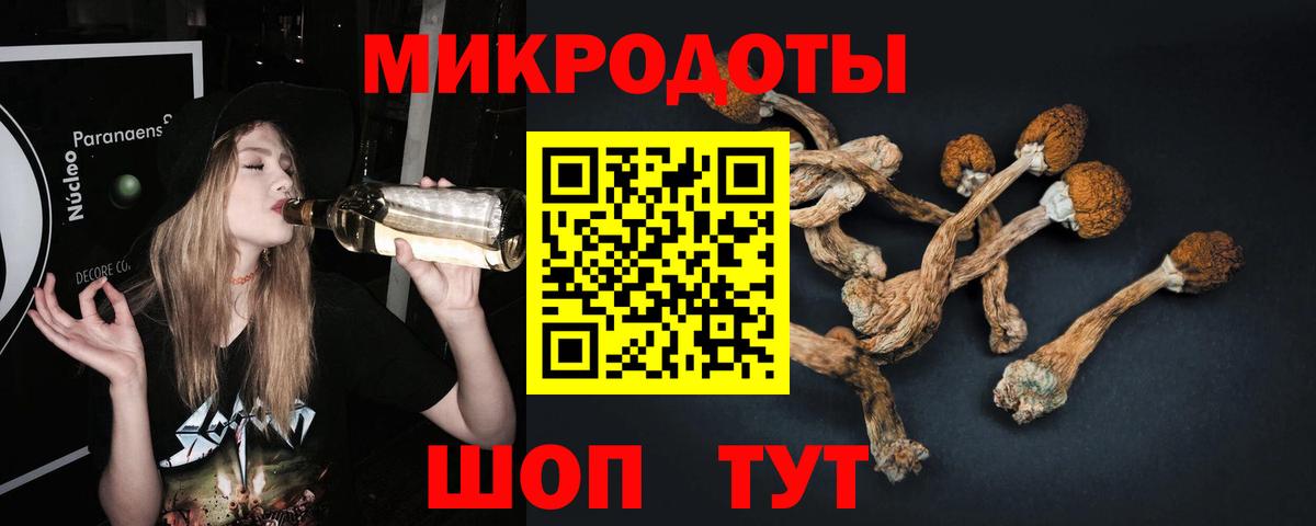 МЕФ Нижний Новгород