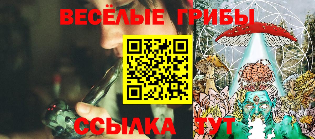 даркнет сайт  Вход с VPN  Нижний Новгород  Галлюциногенные грибы MAGIC MUSHROOMS 